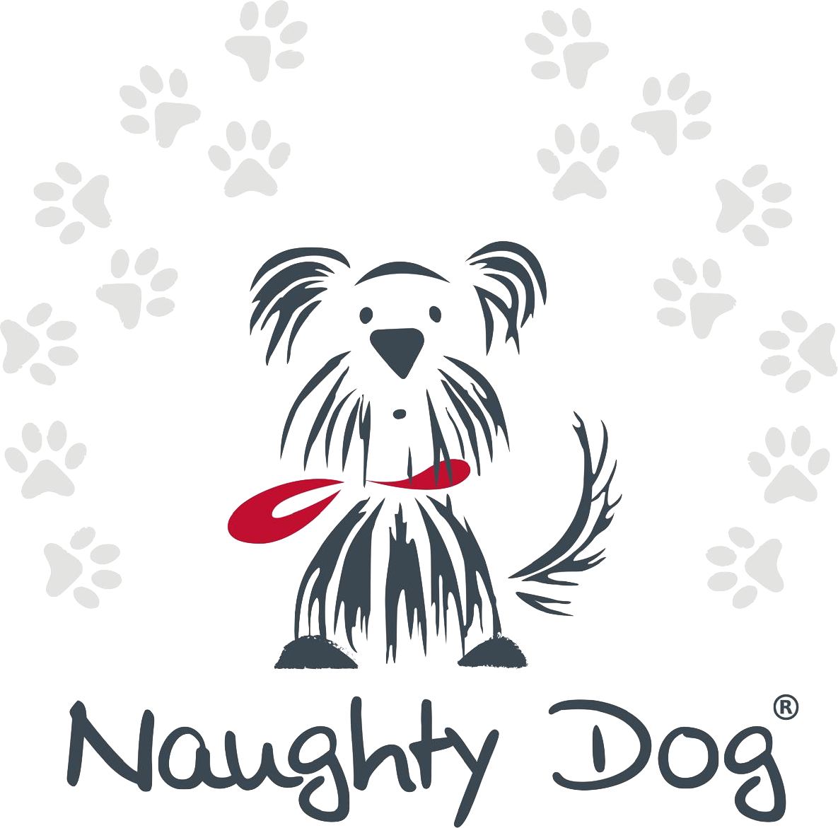 Naughty Dog