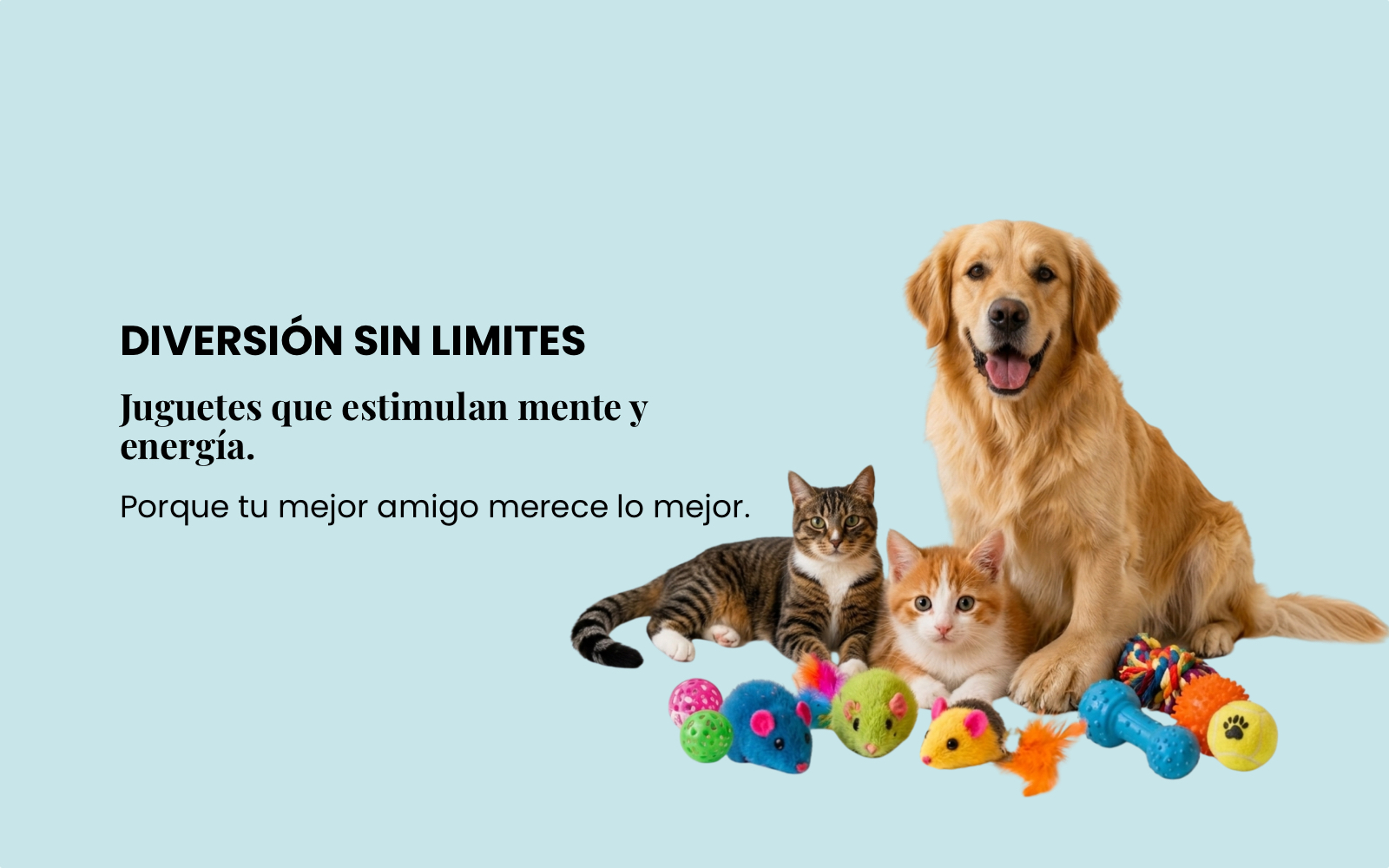 Accesorios para perros y gatos